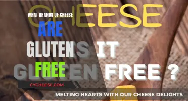 Gluten-Free Cheese Brands: A Comprehensive Guide