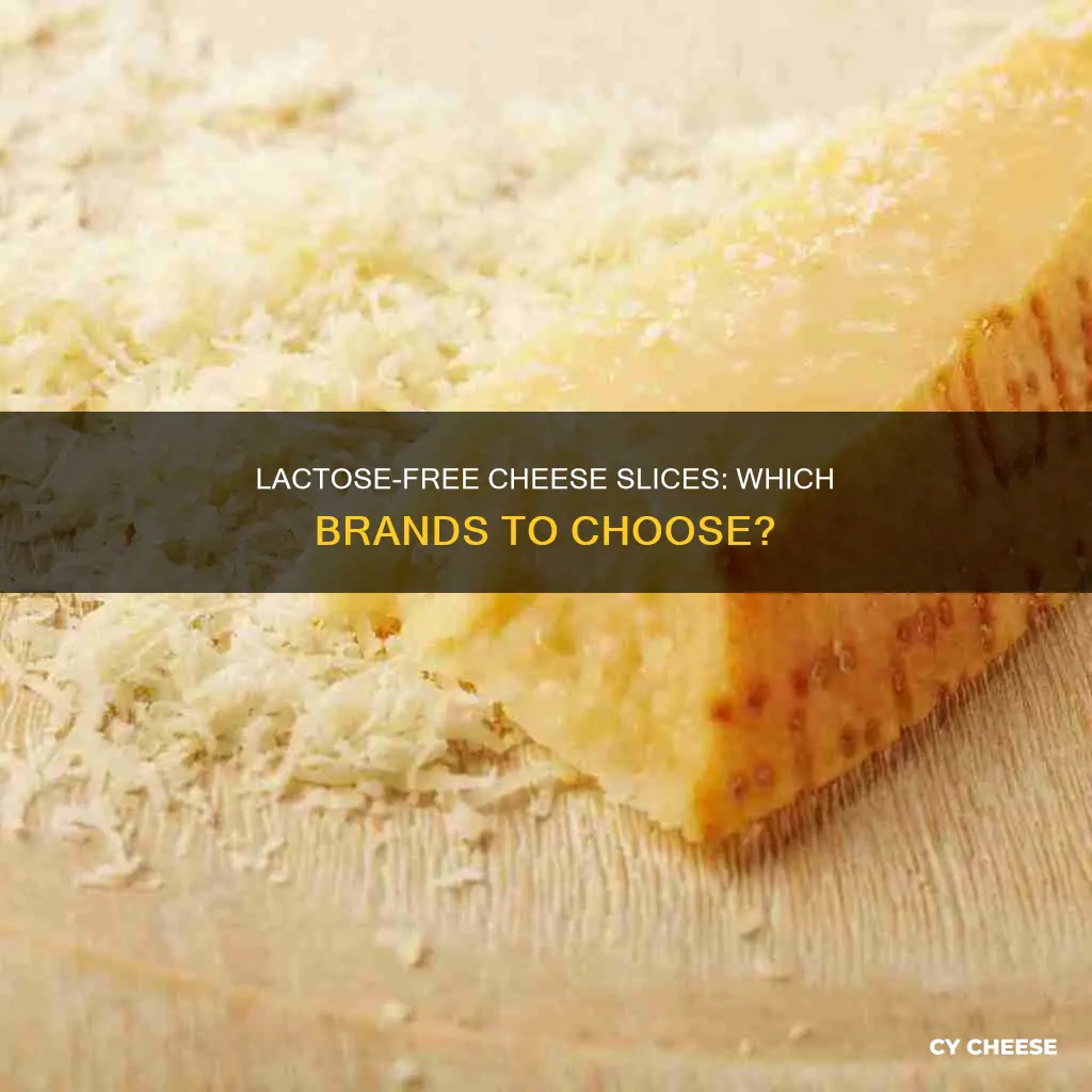what brands of cheese slices ar e lactose free