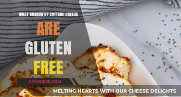 Gluten-Free Cottage Cheese Brands: A Comprehensive Guide for Safe Snacking