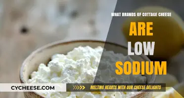 Low Sodium Cottage Cheese Brands: Healthy Options for Your Diet