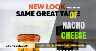 Top Nacho Cheese Brands for Ultimate Snack Satisfaction