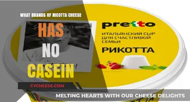 Casein-Free Ricotta Cheese: Top Brands for Dairy-Sensitive Diets
