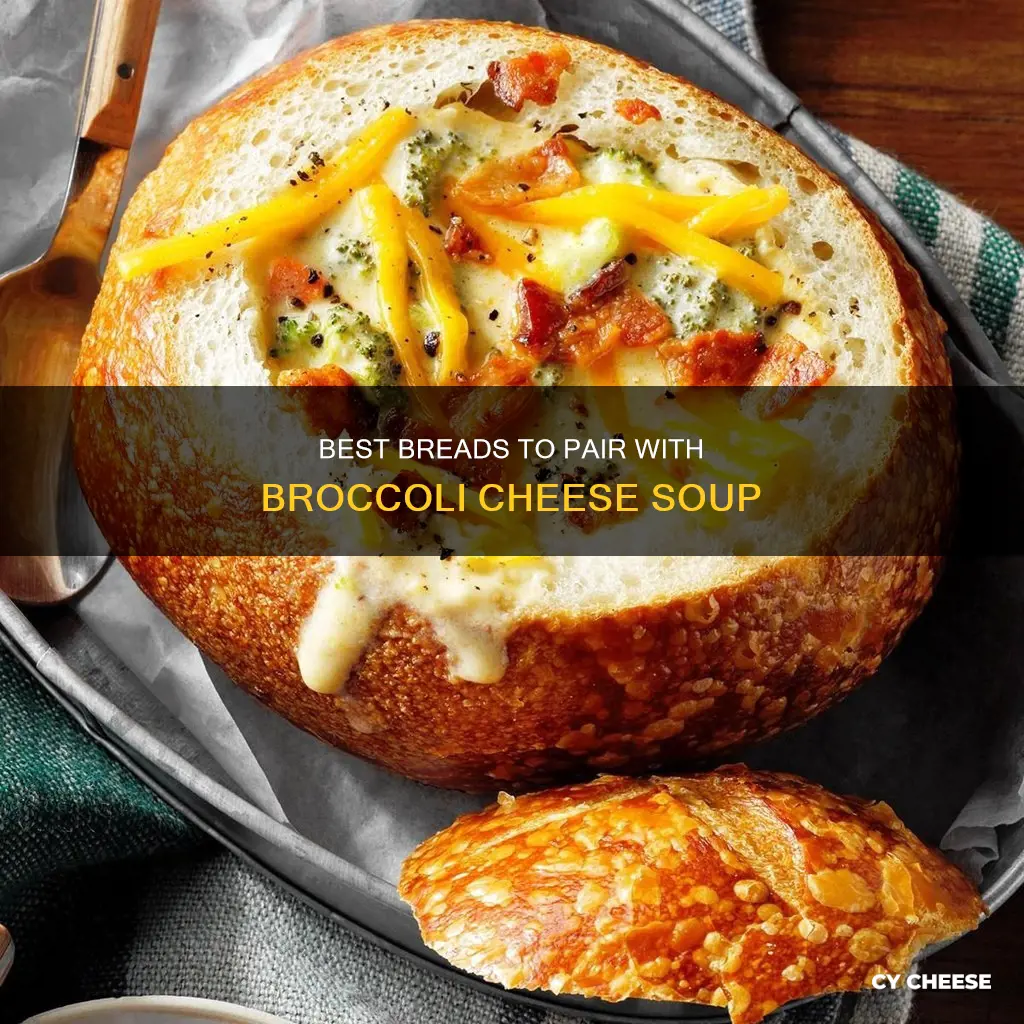 what bread goes with broccoli cheese soup