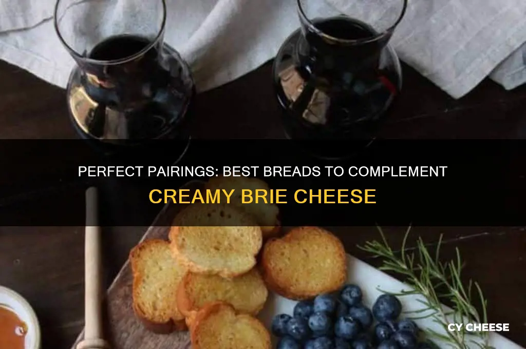 what bread is good with brie cheese