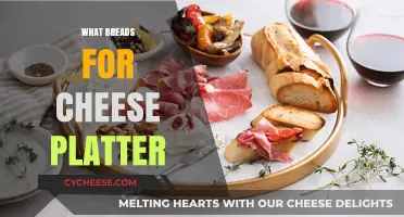 Perfect Pairings: Best Breads to Elevate Your Cheese Platter Experience