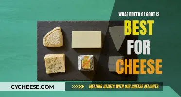 Goat Cheese Excellence: Choosing the Right Breed