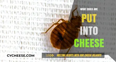 Bugs in Cheese: What's the Deal?