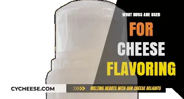 Cheese Flavor Secrets: The Insects Behind the Scenes