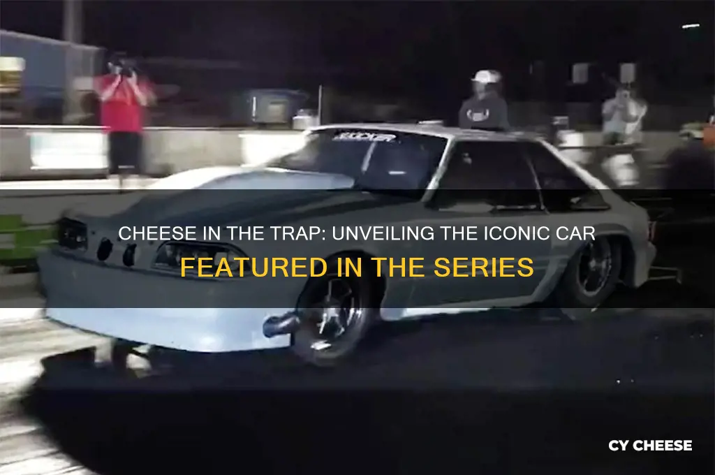what car was in cheese in the trap