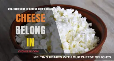 Cottage Cheese Classification: Unraveling Its Place in the Cheese World