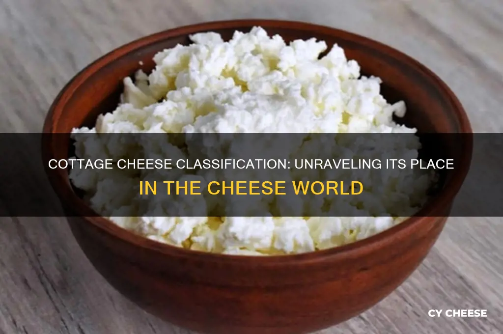 what category of cheese does cottage cheese belong in
