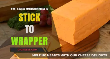Why American Cheese Clings to Its Wrapper: Unraveling the Sticky Mystery