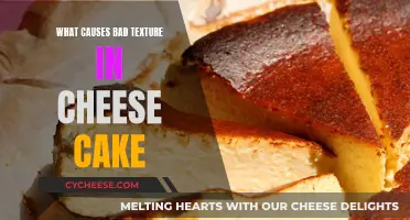 Why Your Cheesecake Texture is Off