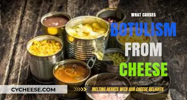 Uncovering the Hidden Dangers: How Cheese Can Lead to Botulism
