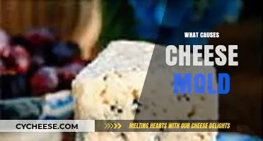 Uncovering the Surprising Factors Behind Cheese Mold Formation