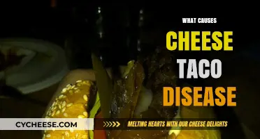 Unraveling the Mystery: What Causes Cheese Taco Disease Explained