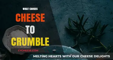 Why Cheese Crumbles: Exploring the Science Behind Its Texture