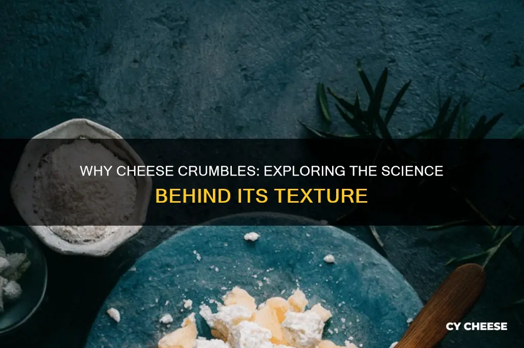 what causes cheese to crumble