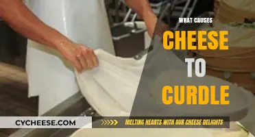 Why Cheese Curdles: Exploring the Science Behind Milk Separation
