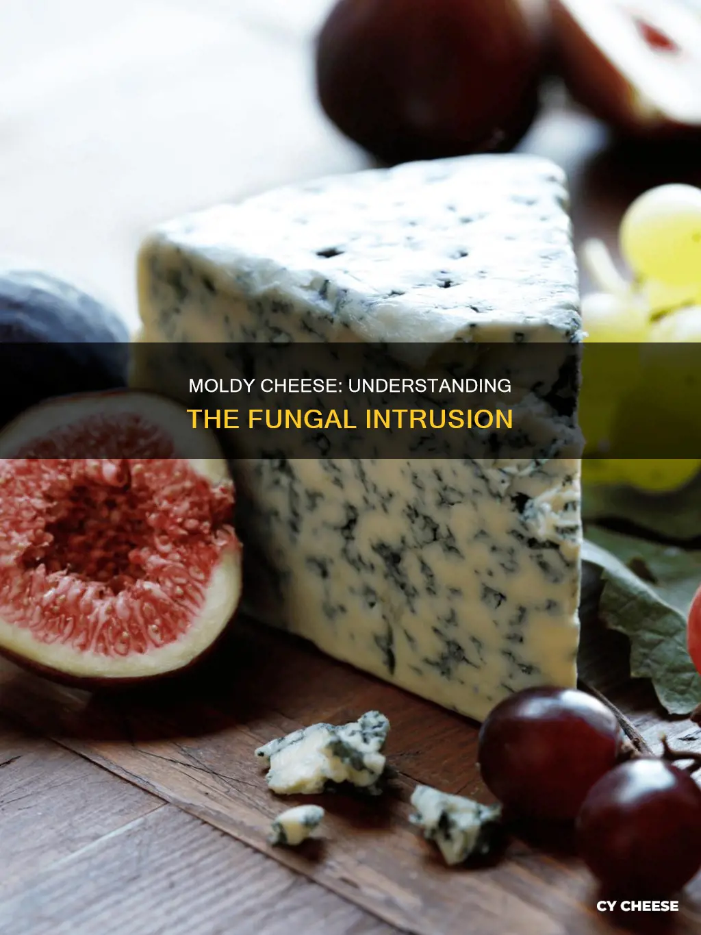 what causes cheese to get mold