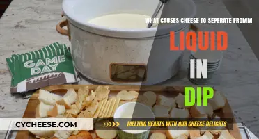 Why Cheese Separates from Liquid in Dips: Common Causes Explained
