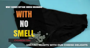 Understanding Cottage Cheese-Like Discharge: Causes and When to Seek Help