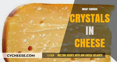 Understanding the Science Behind Crystals in Cheese: Causes and Factors