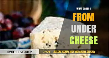 Uncovering the Surprising Causes of Mold Growth Under Cheese