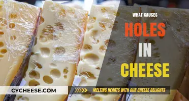 Unraveling the Mystery: What Causes Holes in Cheese?