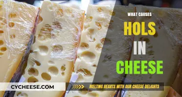 Unraveling the Mystery: What Causes Holes in Cheese?