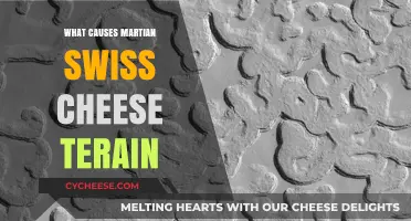 Martian Swiss Cheese: What's Behind the Unique Terrain?