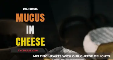 Understanding the Causes of Mucus-Like Texture in Cheese