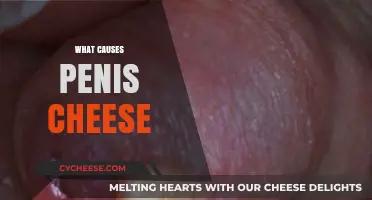 Understanding Smegma: Causes and Prevention of Penis Cheese Buildup