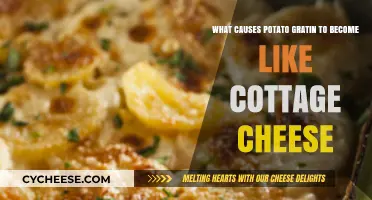 Why Potato Gratin Turns Cottage Cheese-Like: Common Causes Explained