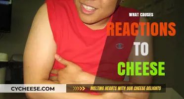 Unraveling the Mystery: Why Cheese Triggers Reactions in Some People