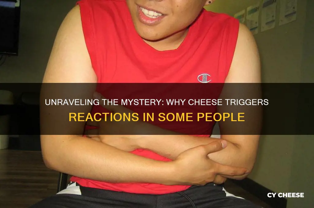 what causes reactions to cheese