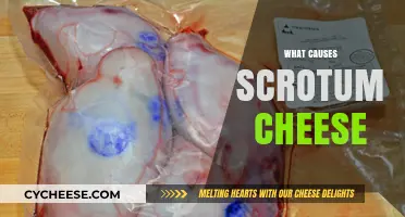 Understanding Scrotum Cheese: Causes, Prevention, and Hygiene Tips