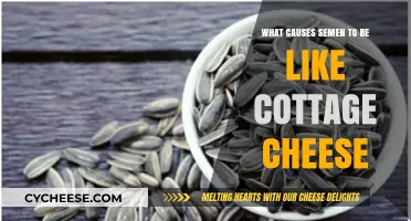 Cottage Cheese-Like Semen: Causes, Concerns, and When to Seek Help