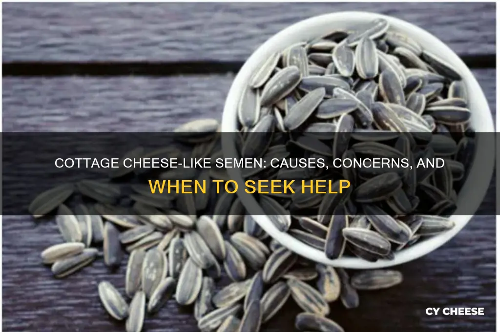 what causes semen to be like cottage cheese