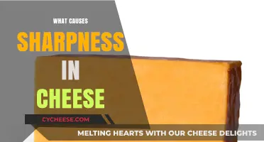 Unraveling the Science Behind Sharp Cheese: Factors That Intensify Flavor