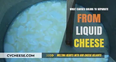 Understanding the Science Behind Solids Separating from Liquid Cheese