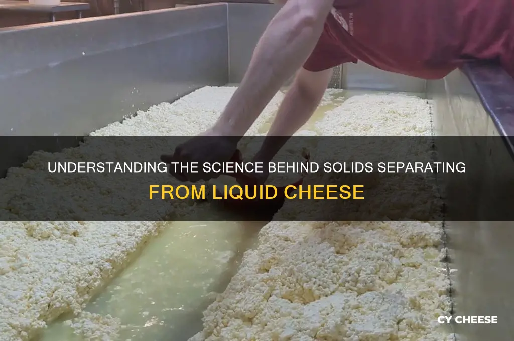 what causes solids to separate from liquid cheese