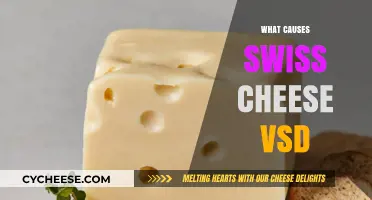 The Mystery Behind Swiss Cheese VSDs