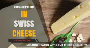 The Mystery Behind Swiss Cheese Holes