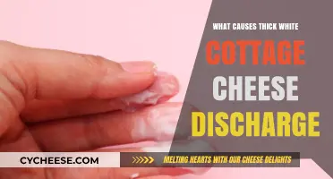 Understanding Thick White Cottage Cheese Discharge: Causes and Concerns