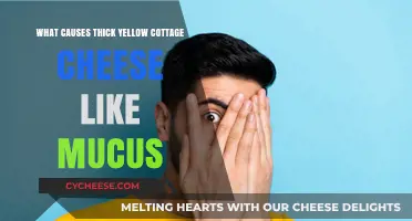 Understanding Thick Yellow Cottage Cheese-Like Mucus: Causes and Concerns