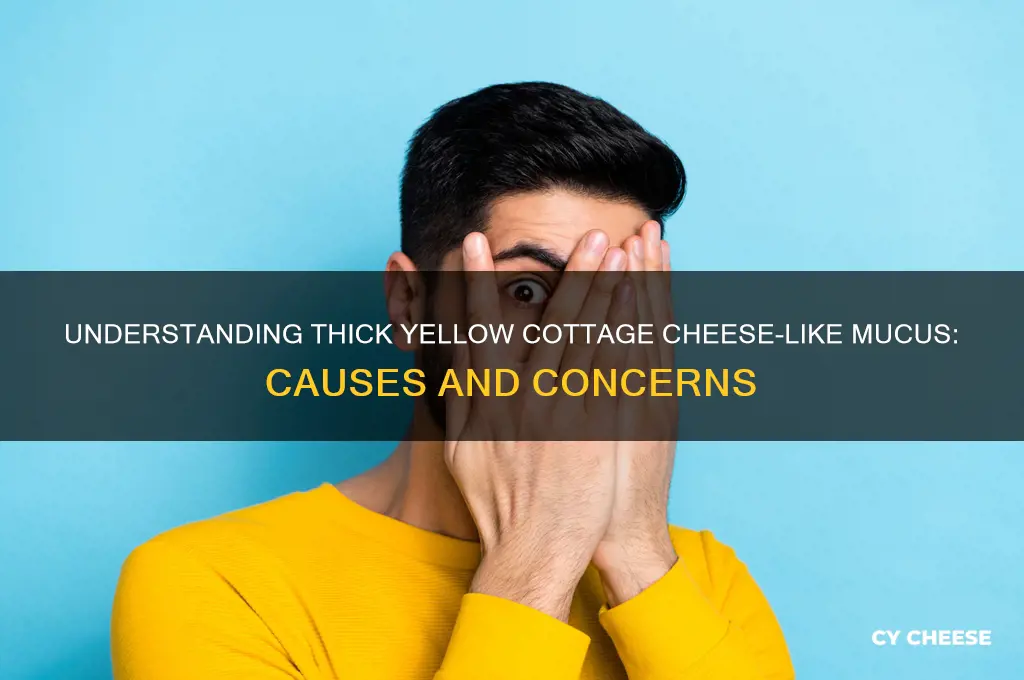 what causes thick yellow cottage cheese like mucus