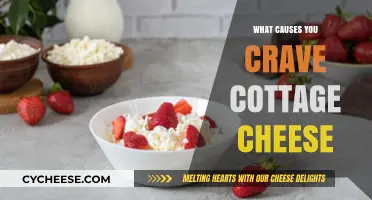 Why You Suddenly Crave Cottage Cheese: Uncovering the Surprising Reasons
