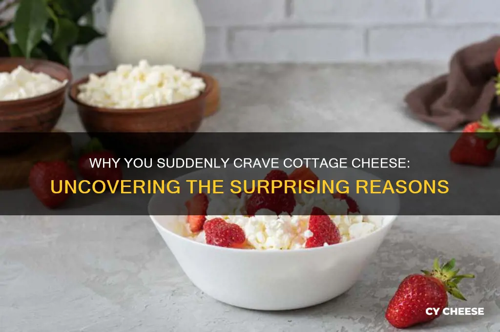 what causes you crave cottage cheese