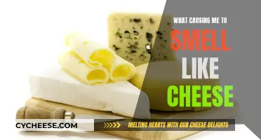 The Mystery of My Cheesy Odor